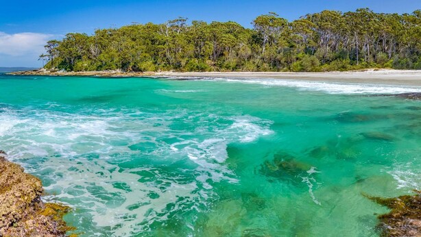 A coastal beach with clear turquoise waters, a sandy shore, and a dense forested area in the background. - Secret on Seagrass by Book Jervis Bay (Vincentia)