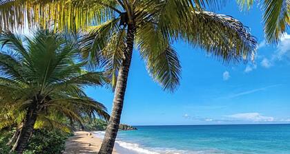 L'Althéa Bleu, 2 minutes from the sargasso-free beach