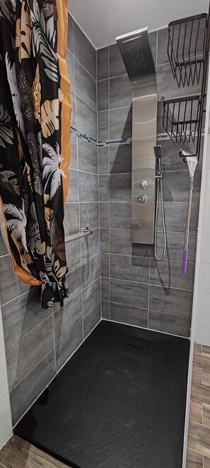 Shower, hair dryer, towels, toilet paper