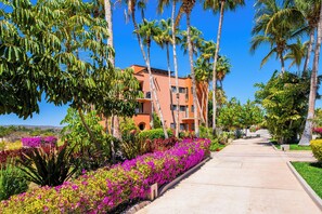 Property grounds - New to VRBO - Relaxation & Style at Casa del Mar (Turistico Corredor)