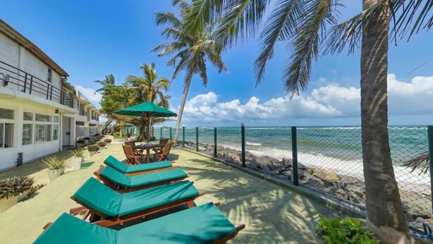 A beachside hotel with lounge chairs and a table under a palm tree, overlooking the ocean. - Manara Beach Resort  (Beruwala)