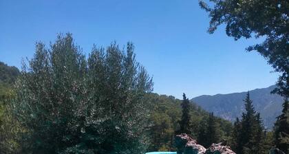 LOVE HOUSE Fairy tale garden with private pool and jacuzzi