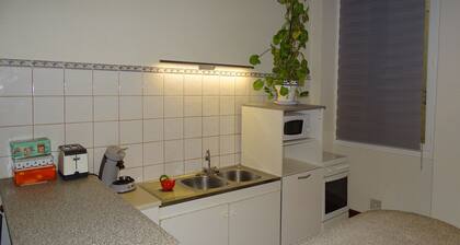 Appartement 63m2 centre historique. Lieu calme proche IsĂšre et centre ville