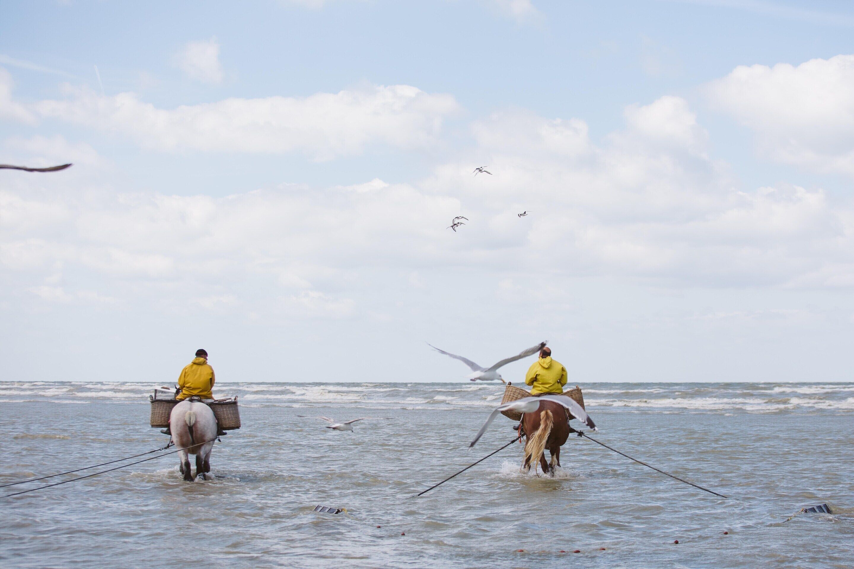 Deux personnes à cheval dans une eau peu profonde, avec des oiseaux qui volent au-dessus d’elles.