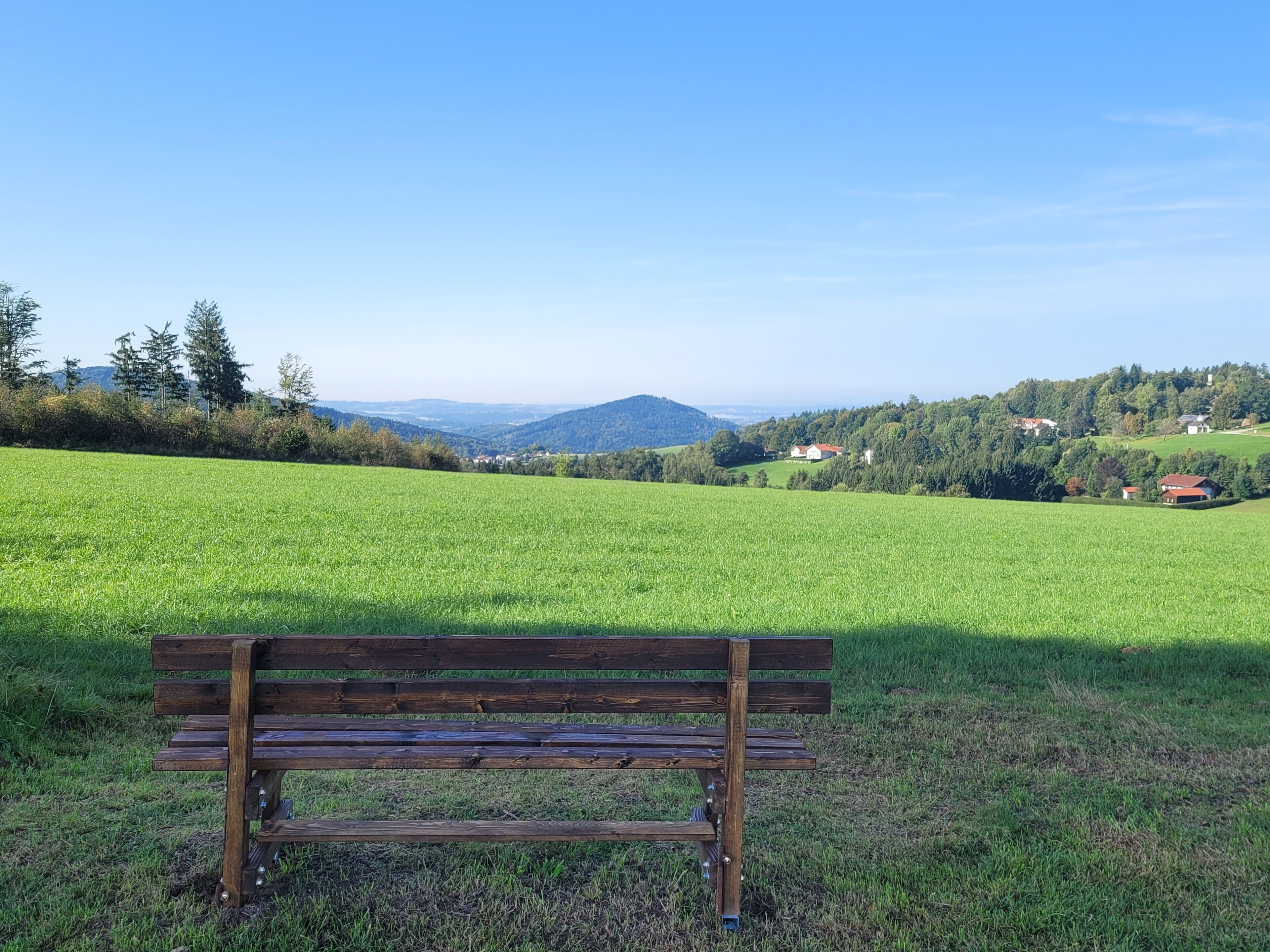 A wooden bench in a grassy field with a view of distant hills and houses.