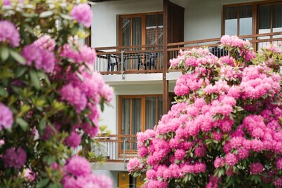 Hotel Sonnenhof - Tante ALMA’s Sommerfrische