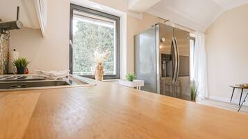 Fridge, oven, stovetop, dishwasher