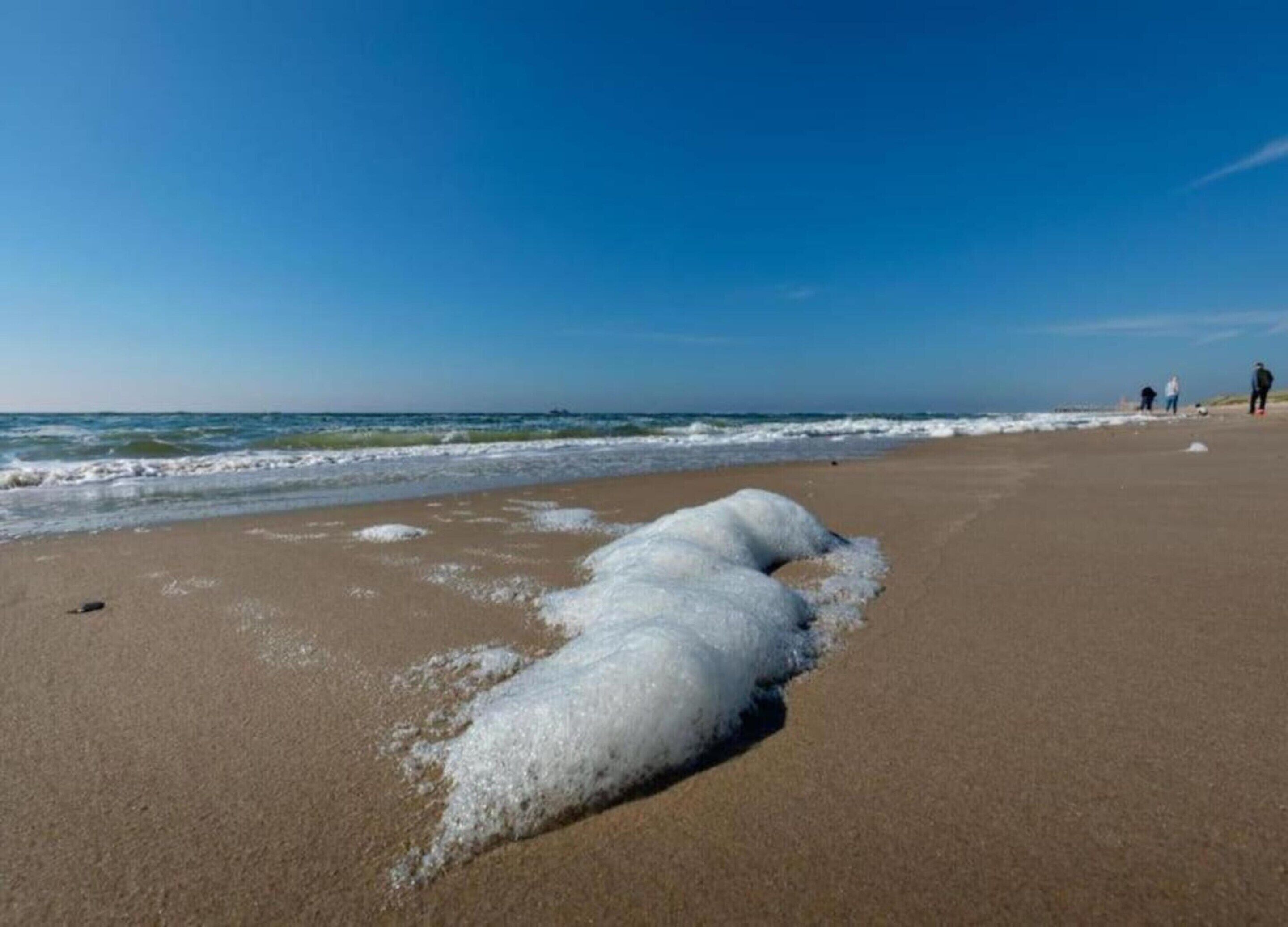 Căn hộ | Quang cảnh nhìn từ nơi lưu trú