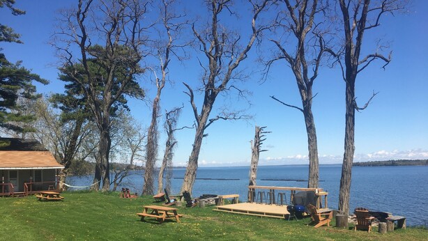 Zona de picnic junto al lago con bancos y mesas de madera, rodeada de árboles y vistas al lago.