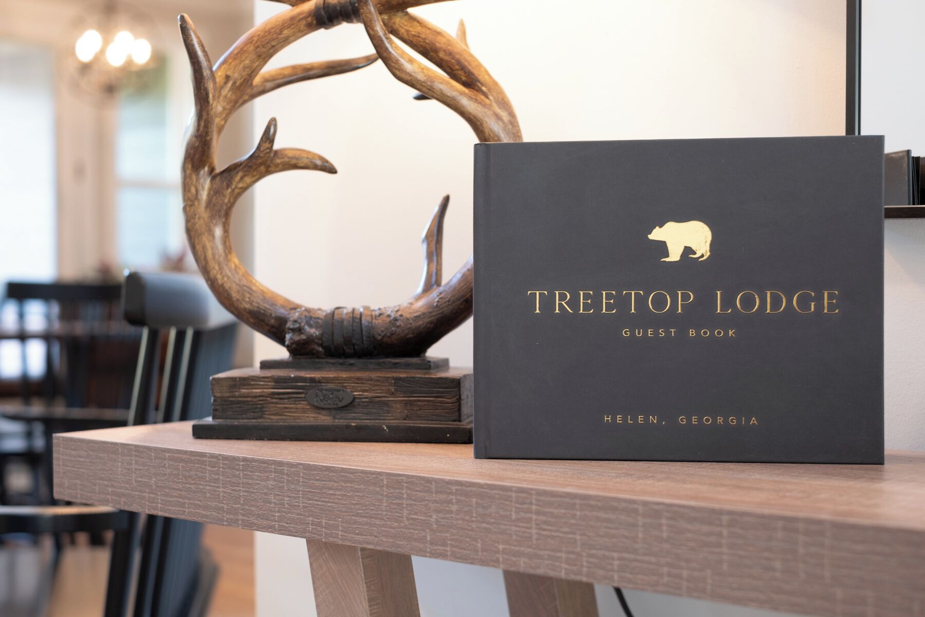 Musta vieraskirja, jonka kannessa lukee ”TREETOP LODGE” ja jossa on karhukuva, on asetettu puupöydälle.