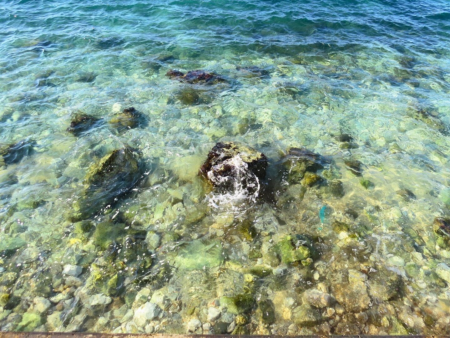 Agua cristalina y poco profunda con rocas visibles y un objeto sumergido.