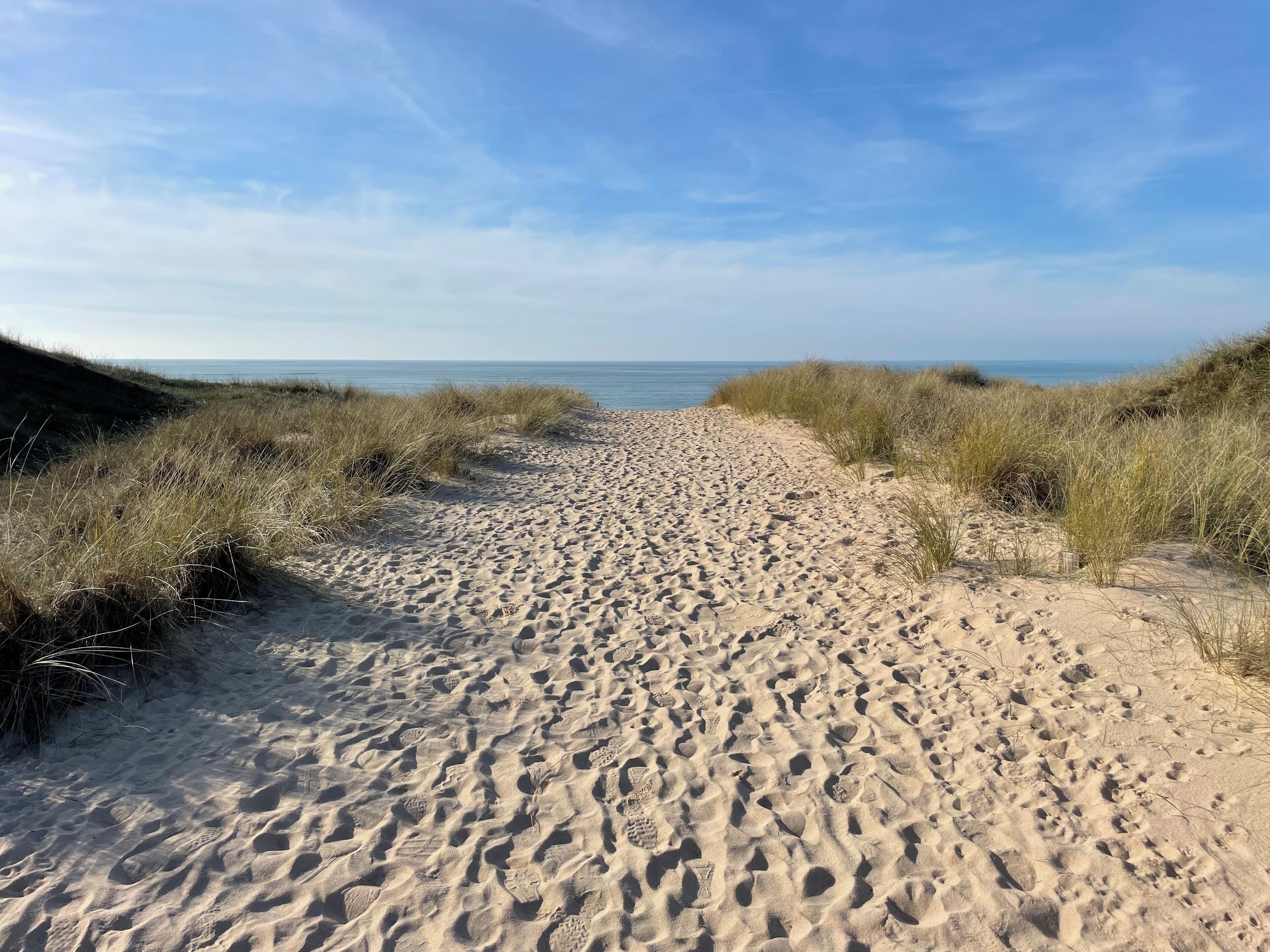 بالقرب من الشاطئ