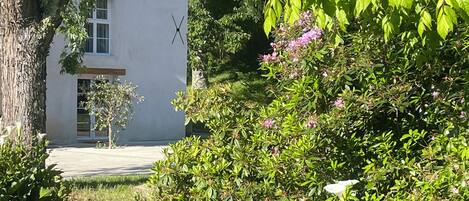 المنطقة المحيطة بالمنشأة