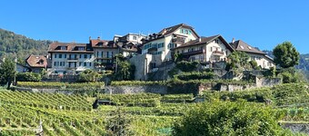 Apartamento de vacaciones Chailly-Montreux para 1 - 3 personas con 1 dormitorio - Apartamento en cas