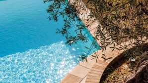 Una piscina azul cristalina con borde de piedra y vegetación circundante.