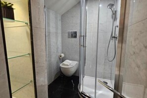 Shower, hair dryer, bidet, towels