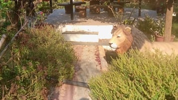 Terrein van de accommodatie