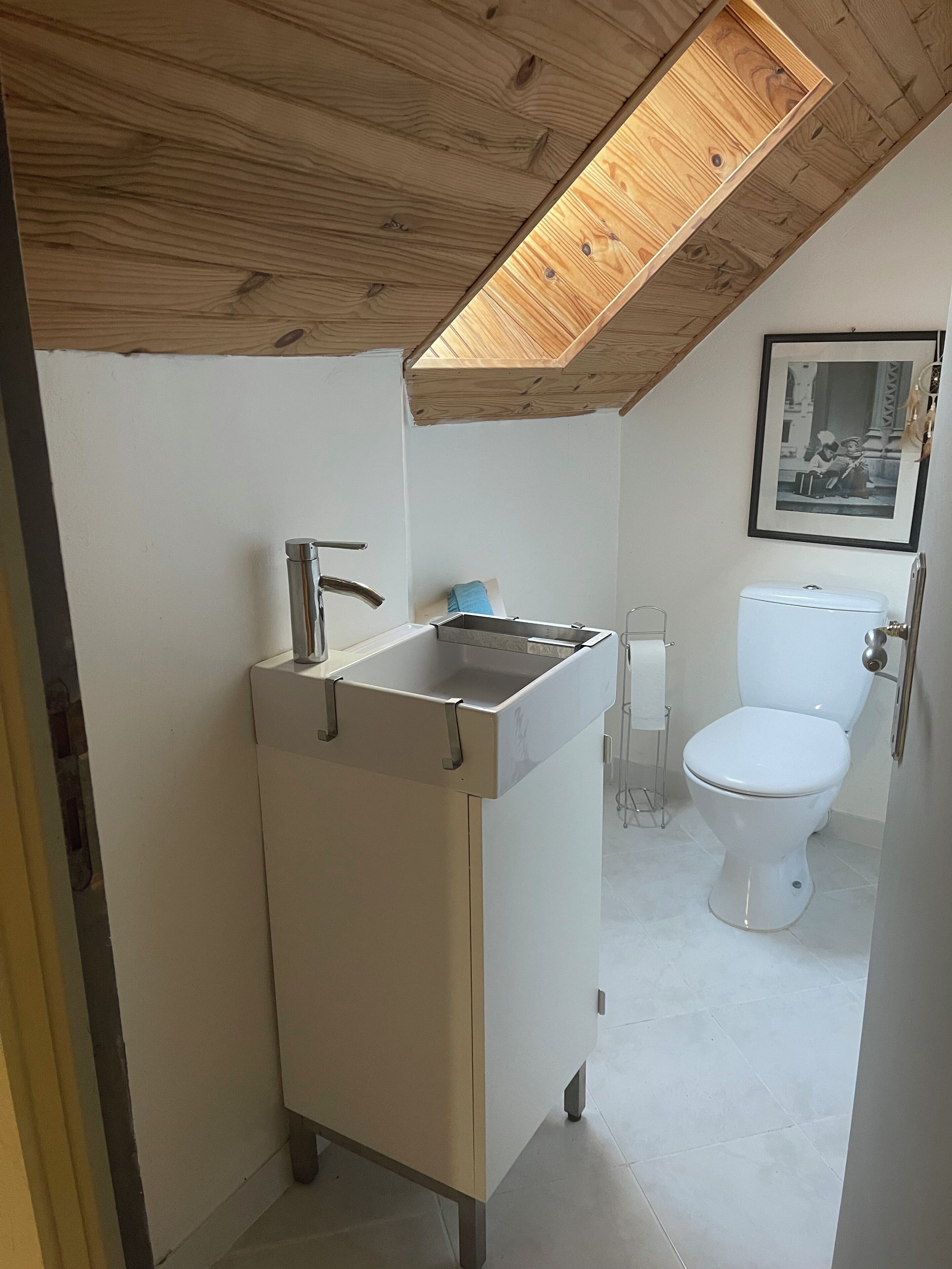 Shower, hair dryer, soap