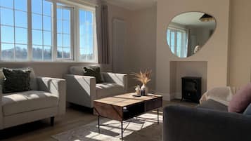 Televisión, chimenea y estéreo