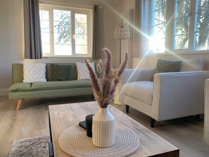 Télévision, cheminée, chaîne hi-fi