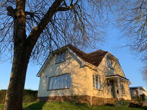 Eksteriør