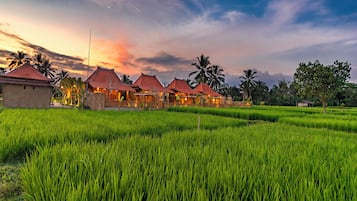 Bagian depan properti