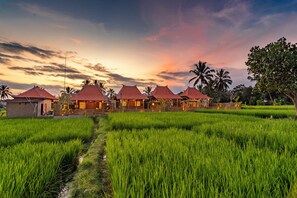 Front of property - Arindama Villa Ubud by Dhananjaya Hospitality (Sebatu)