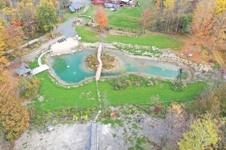 Property grounds. Anastasia’s Domain 1, Farm stay, off grid cabin in a beautiful forest!