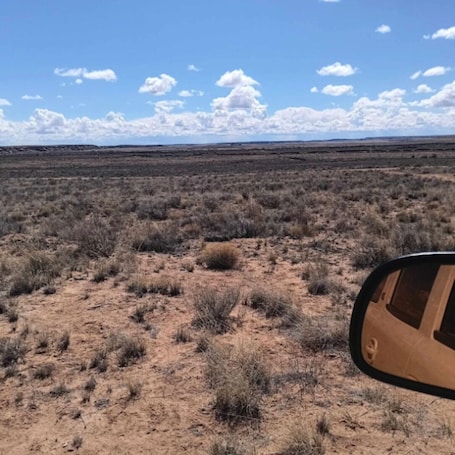 Miscellaneous. Site 2 off grid Campsite Near Petrified Forest