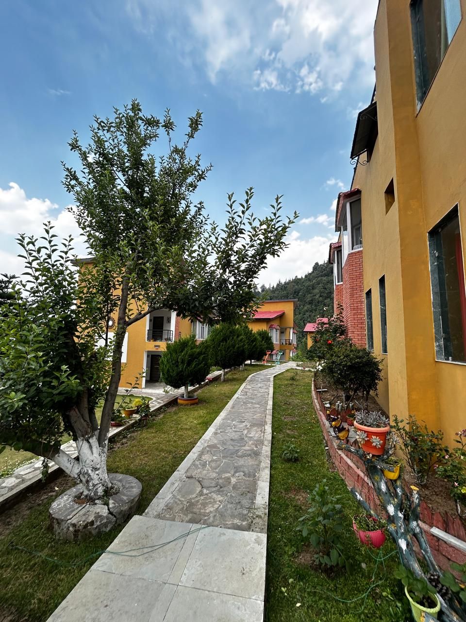 A pathway leading to a yellow building with multiple windows and a brick facade.