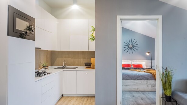 A modern kitchen with white cabinets, a built-in stove, and a sink. A small plant is on the counter, and a decorative wall piece is above the sink. - HB apartments Merab Kostava (Tbilisi)