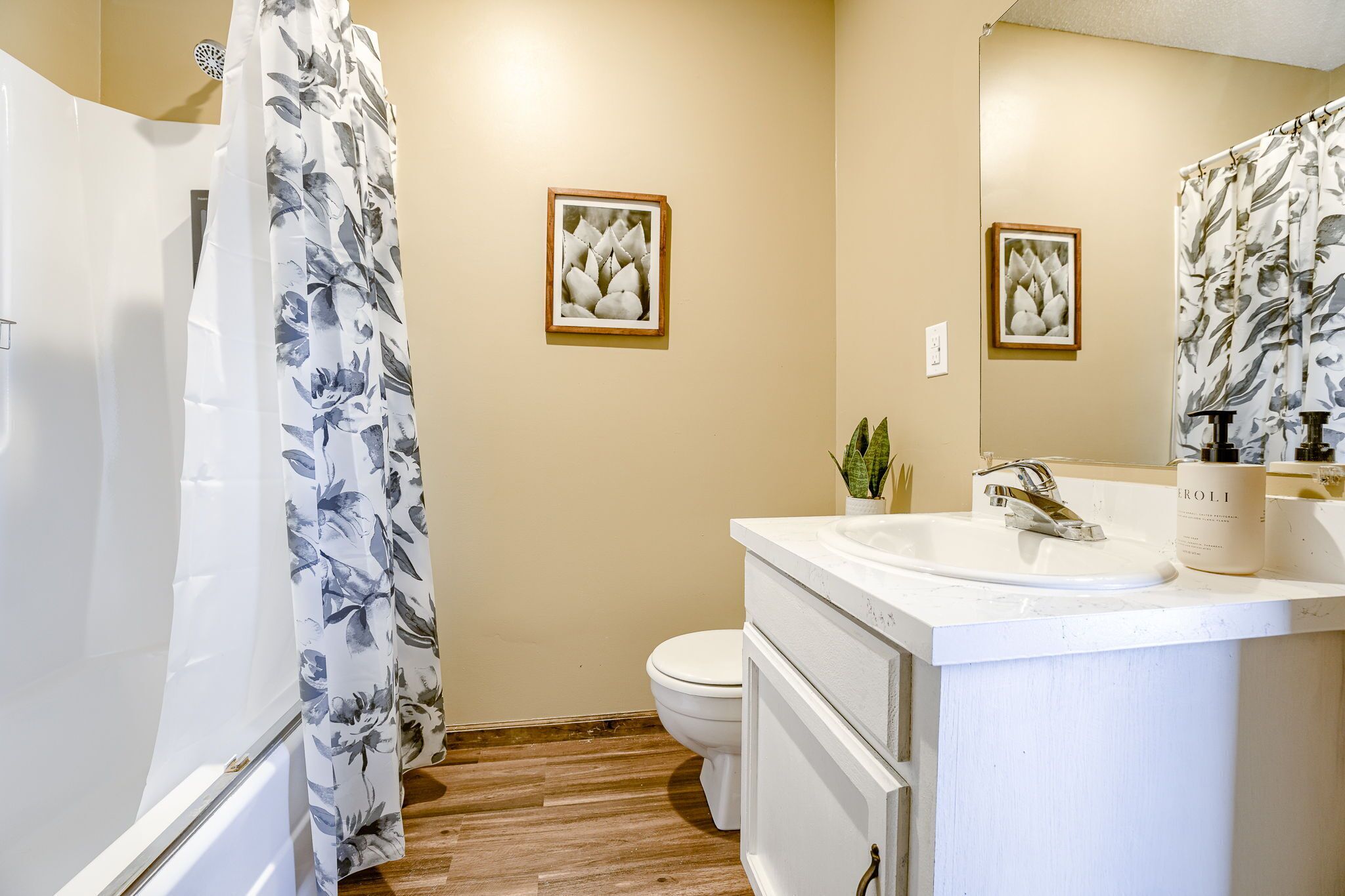 Hair dryer, towels, soap, shampoo