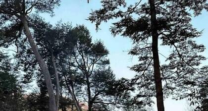 Casa Gallareta. Costa de Lago. Luxury Chalet 3