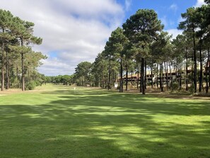 A golf course with a flag, surrounded by tall pine trees and buildings in the background.