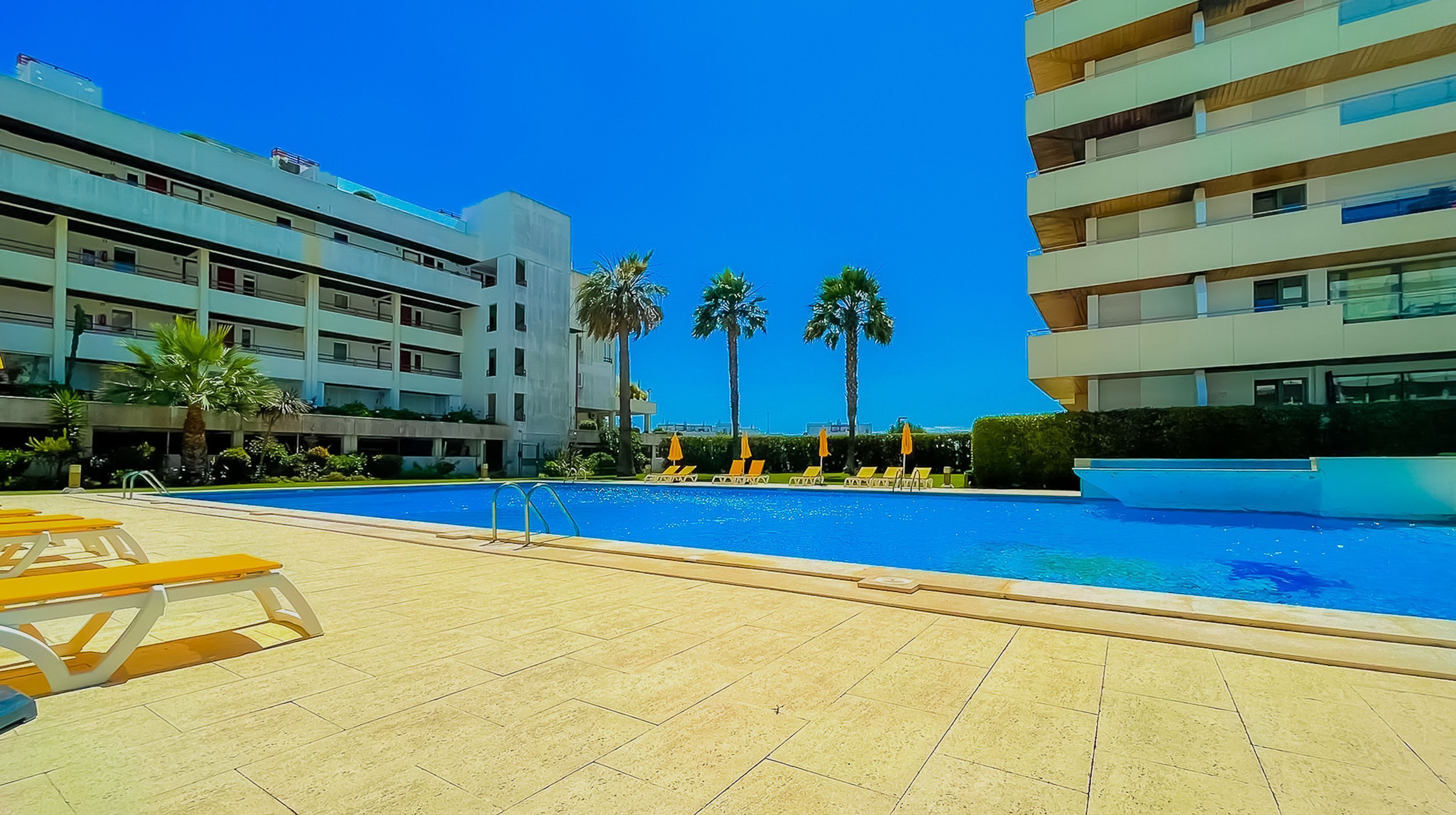 A swimming pool with sun loungers and palm trees, surrounded by modern buildings.