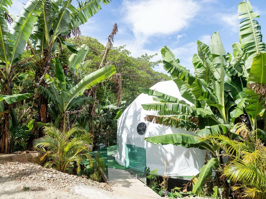 A white dome-shaped structure surrounded by lush banana trees and tropical foliage.
