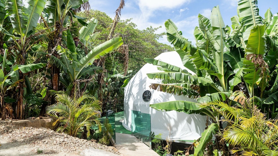 Macas Moon Glamping