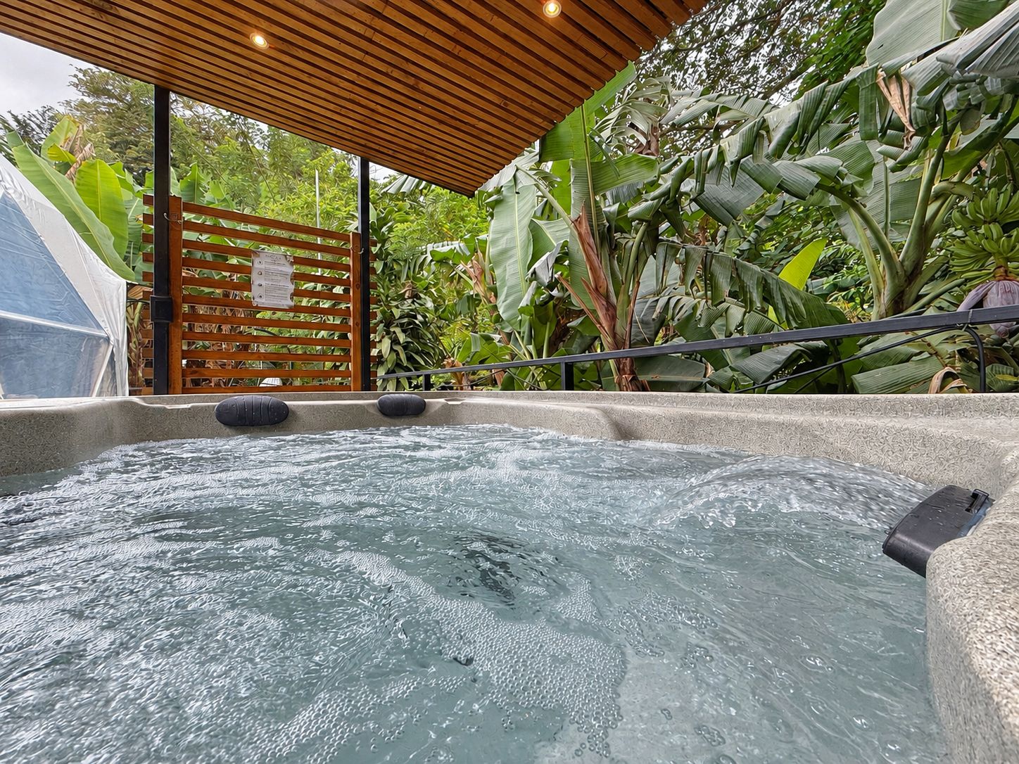 A hot tub area with a wooden roof, surrounded by lush greenery and banana plants.
