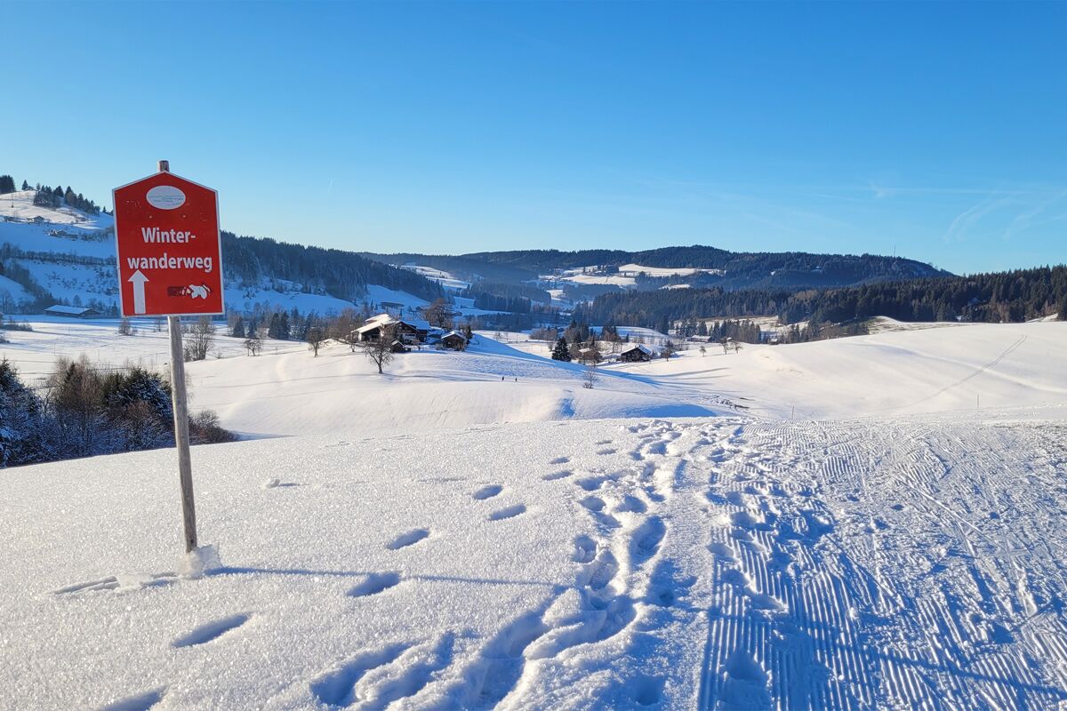 A snow-covered landscape with a sign indicating a winter walking path.