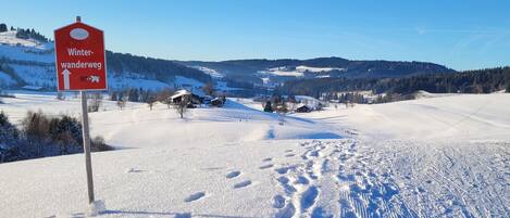A snow-covered landscape with a sign indicating a winter walking path.