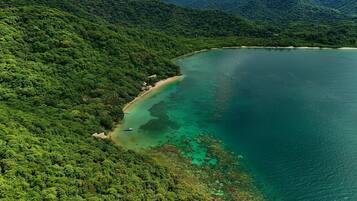 An aerial view of a coastal area with dense green forest, a sandy beach, and clear turquoise waters.
