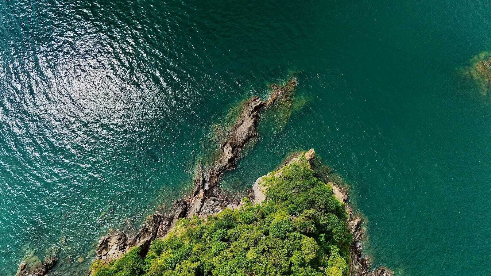 An aerial view of a coastal area with rocky terrain and dense green vegetation.