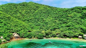 Une île tropicale aux luxuriants feuillages, aux eaux turquoise et limpides, et aux huttes traditionnelles aux toits de chaume.