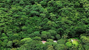 An aerial view of a lush green forested area with clear turquoise waters. There are several boats anchored near the shore. - MISTICA Tayrona Cinto (Santa Marta)