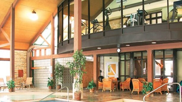 An indoor swimming pool with a wooden ceiling, large windows, and seating areas with potted plants.