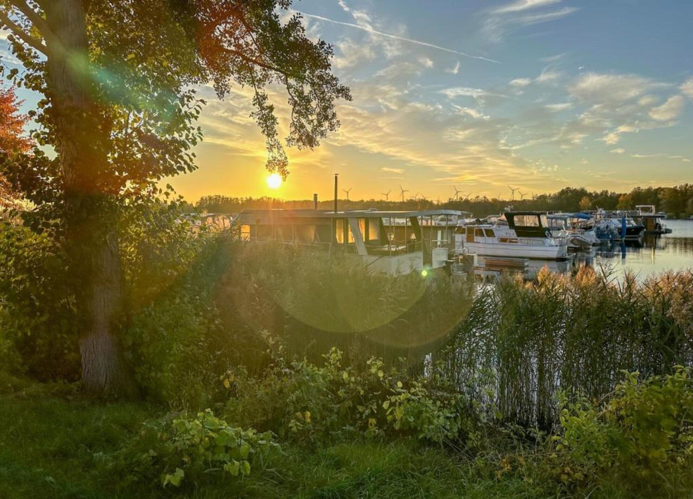Mobile Home | View from property