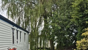 A mobile home with a grassy yard, a red gas cylinder, and a utility box. - Southview 48 Morningside (Skegness)