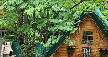 House in Cetinje. A quiet and peaceful place to rest. Near 2 national parks.