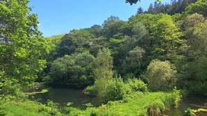 A lush green landscape with a river, dense trees, and a clear blue sky.