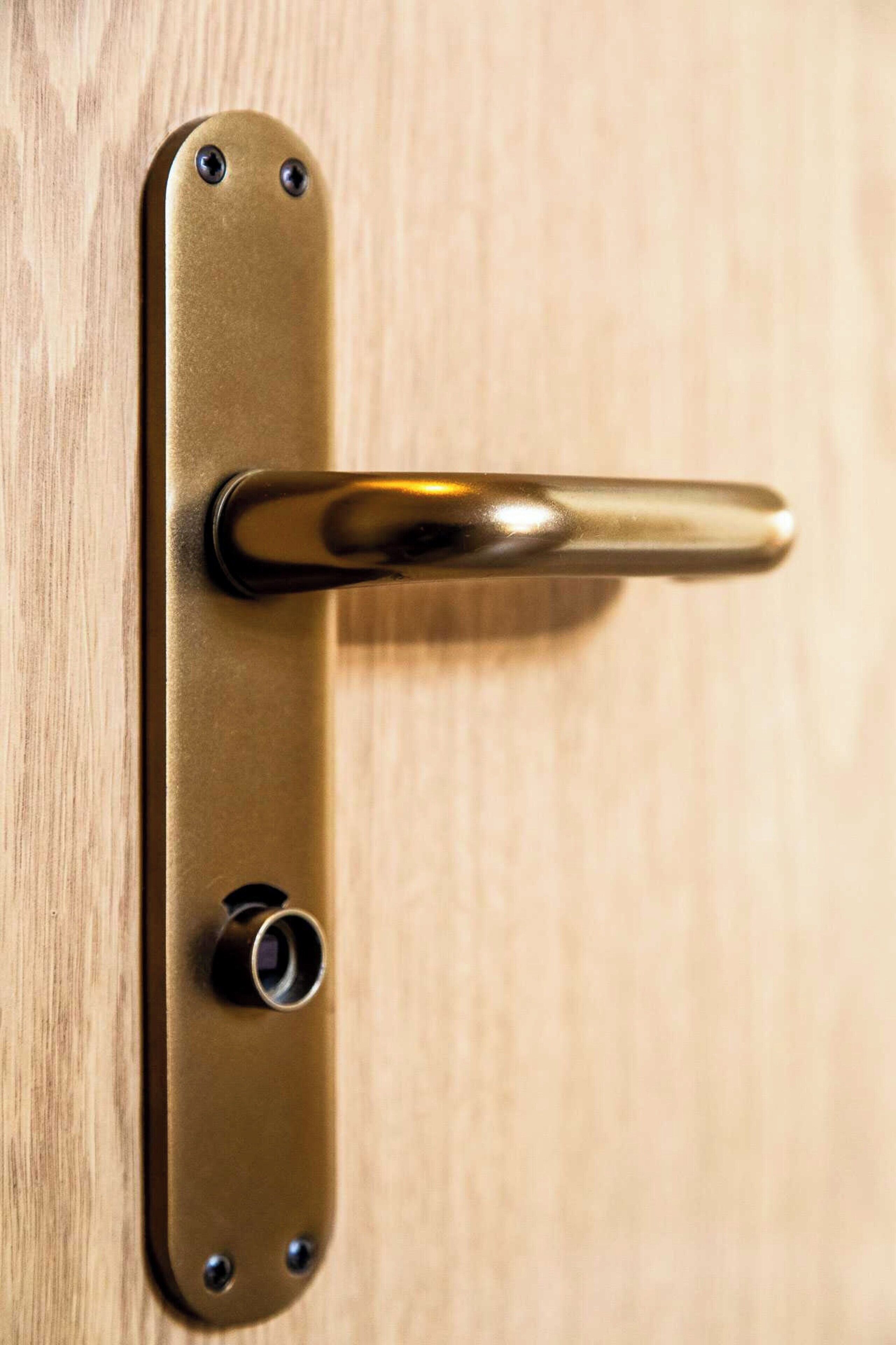 A brass door handle on a wooden door.
